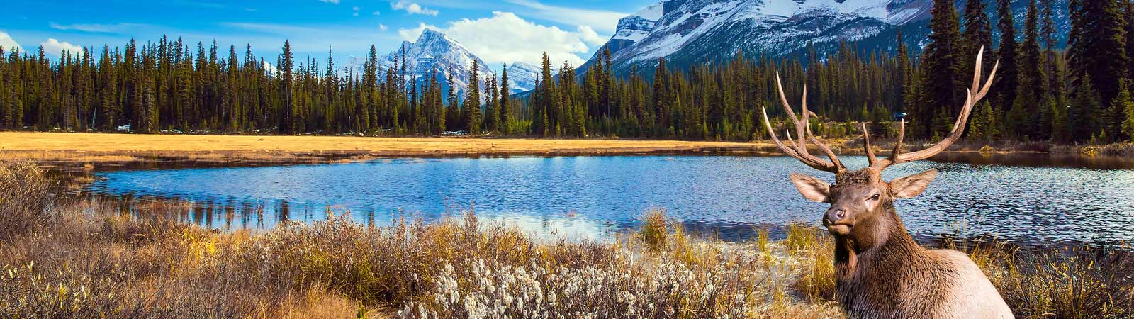 Canada Tours