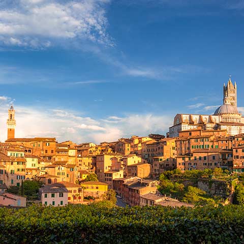 Beautiful view of Tuscany on an escorted Italy vacation