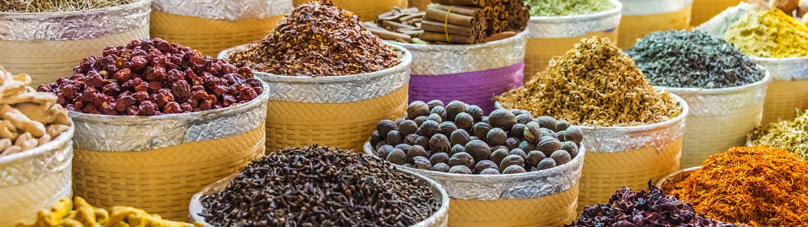 Middle East Packages